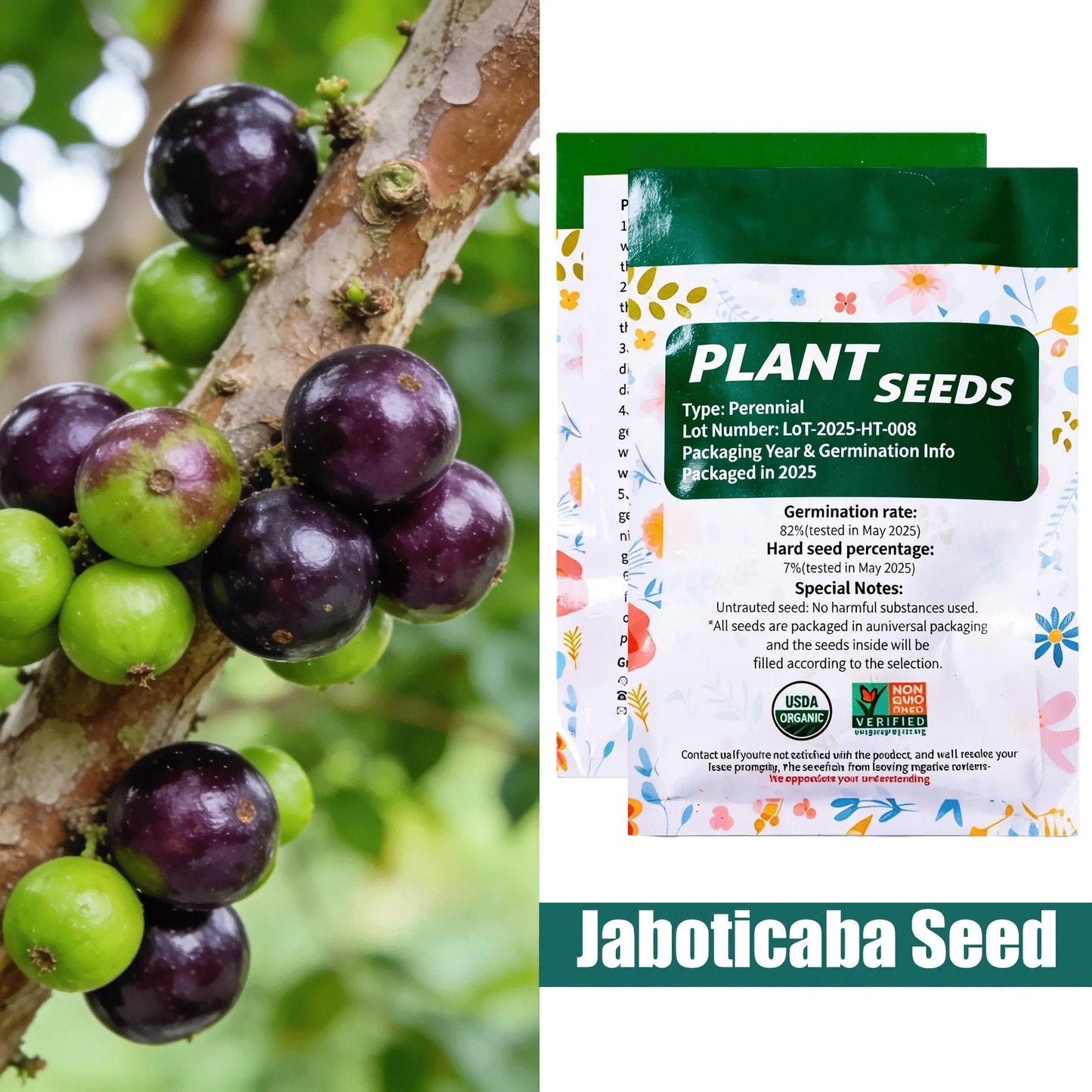 ๐ฅ 65K+ SOLD! ๐Jaboticaba Exotic Fruit Plant Seeds for Home Garden