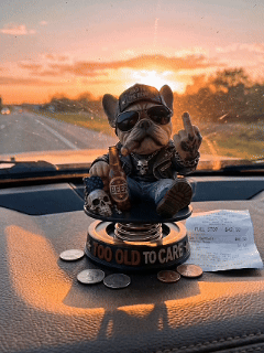 "Too Old To Care" Hardcore Frenchie Dashboard Bobblehead😎 - Rebellious Middle Finger Bulldog Car Decor
