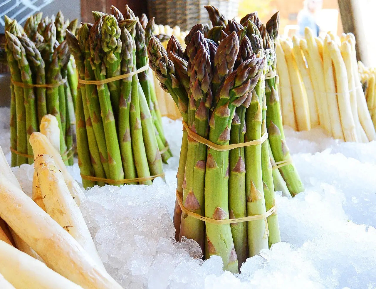 Mary Washington Asparagus Plants | Heirloom Bare Root Crowns (2-Year)