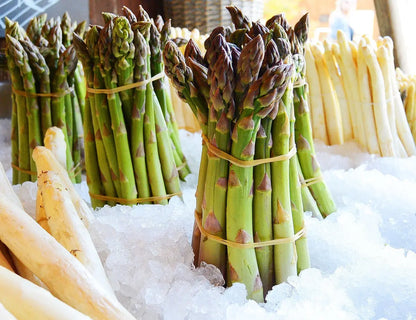 Mary Washington Asparagus Plants | Heirloom Bare Root Crowns (2-Year)