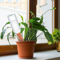 🔥Last Day 49% OFF -Terracotta Self Watering Spikes