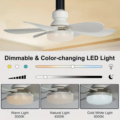 🔥LAST DAY 70% OFF🍃40W LED Ceiling Fan Light🎯